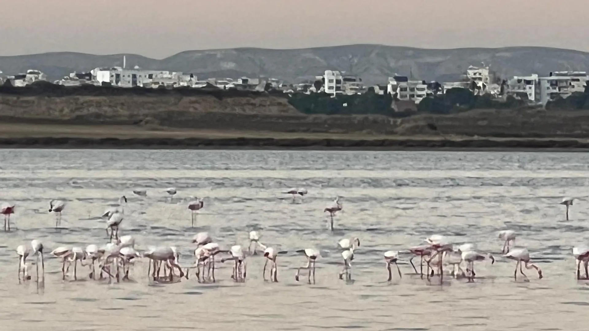 Salt Lake Larnaca